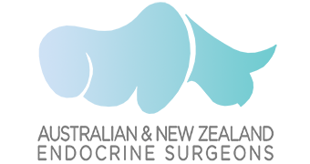 Australian and New Zeland Endocrine Surgeons Logo 